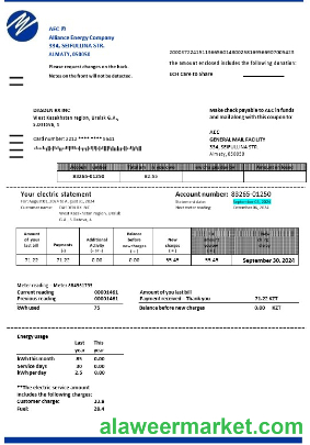 Kazakhstan Alliance Energy Company (AEC) business utility bill Word and PDF template